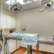 Maybe you would like to learn more about one of these? Island Animal Hospital In Viera Cocoa Rockledge 14 Visitors