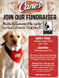Hours may change under current circumstances Dog Adoption Events St Louis