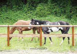 I suggerimenti di un elettricista doc per evitare i guai. Recinzioni In Acciaio Per Cavalli Vantaggi Cortensafe