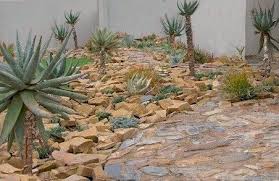 Pin By Darlene Kiteley On Rock Garden Rock Garden Small Garden Design Rock Garden Design