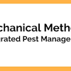 Controlling pests with their natural enemies, including parasites, predators, diseases and competing organisms, is called biological control. Https Encrypted Tbn0 Gstatic Com Images Q Tbn And9gcrubqsicdyueyafqiesgcvwqq846v7r0 Zbooe2re1mkhn57jnx Usqp Cau