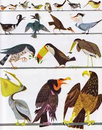 Vintage Kids Books My Kid Loves The Animal Fair Bird Illustration Illustration Animal Illustration
