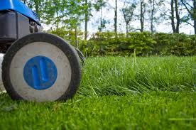 A lawn care business plan should simply state the following: How To Get Lawn Care Customers Fast Lawn Love