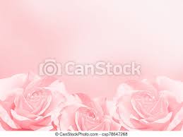 Color the purple violet's petals blue and purple with white and yellow centers. Banner With Three Pink Roses Blurred Background With Three Roses Of Pink Color Copy Space For Your Text Mock Up Template Canstock
