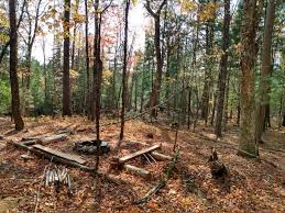 3361 tower hill rd, watkins glen, ny 14891, usa, united states; Sugar Hill Campsite Many Mini Hills Forest Me 9 Hipcamper Reviews And 10 Photos