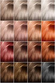 In this articles, we bring you 30 different shades of brown with a full spread of shades and coloring to choose from, there is will never be a dull moment! Hair Color Palette With A Wide Range Of Samples Samples Of Colored Hair Colors Shades Of Cold Colors Stock Photo Image Of Hair Care 142158962