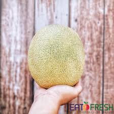 How Can You Tell When A Honey Kiss Melon Is Ripe? |