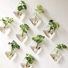 Hang these faux succulent planters anywhere in your home to create an indoor floating oasis. Pin By Yaciemaranda On Indoor House Plants In 2021 Hanging Glass Planters Indoor Plant Wall Wall Planters Indoor