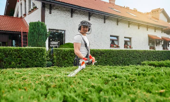 Border cleared of weeds in Longfield garden