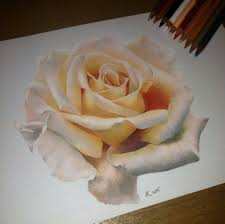 Visualizza altre idee su fiori disegnati a matita fiori disegni a matita. Pin Di Angelika Teuber Su Drawing Disegno Di Fiori Dipinti Floreali Disegno Fiori