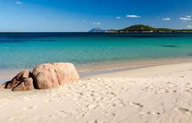 We did not find results for: High Quality Holidays In Sardinia Hotel Parco Degli Ulivi