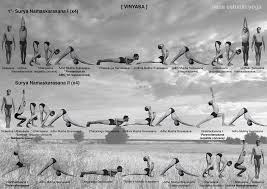 Iyengar Vinyasa Serie 1 Recopilacion De Ceci Barberian Con Fotografias De Light On Yoga Ashtanga Vinyasa Yoga Vinyasa Yoga Yoga Asanas