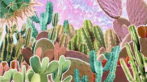 When treating your cactus for any diseases/pests. This Is Why Cactus Water Is Your Skin S New Bff Blog Huda Beauty