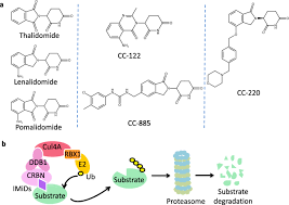 The msci acwi low carbon target index is designed to address two dimensions of carbon exposure ¿ carbon emissions. Novel Immunomodulatory Drugs And Neo Substrates Biomarker Research Full Text