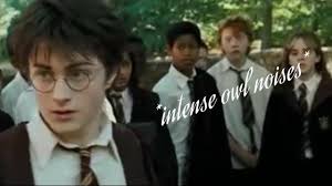 He wants to turn and run, but he can't tear his eyes away as the dementor reaches for him, it's scaly, dead hand grasping within centimeters of his shirt as he leaps back. Dementor Dementor Youtube