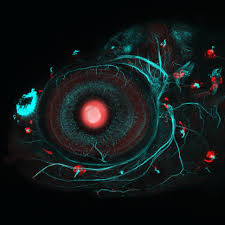 This Award Winning Selection Of Science Photography Will Blow Your Mind Science Images Science Photos Science