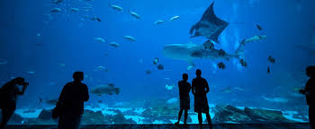 Taal batangas volcanic eruption/january 12, 2020 taal volcano. Taal Volcano Travel At Philippines