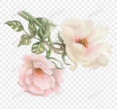 Download now previous bunga mawar putih png png image transparent png download now latar belakang warna merah muda gambar gratis di pixabay download now jual backdrop background motif bunga mawar warna merah ukuran 5x7ft dki jakarta destruction price tokopedia download now frame border white rose floral bingkai bunga mawar download now tema bunga mawar merah for android apk download download. Tangan Dicat Bunga Mawar Putih Gambar Unduh Gratis Imej 400345743 Format Png My Lovepik Com