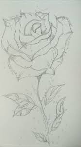 See more ideas about drawing for beginners, drawings, easy drawings. Drawing Ideas For Beginners Visit The Link To Get Beginners Drawing For Pencildrawings Beginners Cute Drawing For Beginners Pencil Drawings Drawings
