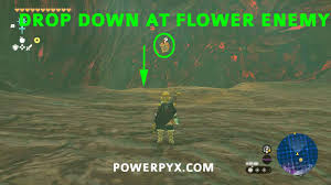 Totk | Destroy Ganondorf Walkthrough | How To Beat Ganondorf | Zelda Tears  Of The Kingdom -