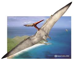 Pteranodon land on ground coloring page to color, print and download for free along with bunch of favorite pteranodon coloring page for kids. Pteranodon Facts For Kids Dinosaurs Pictures And Facts