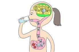 Apa Fungsi Anak Tekak Bobo