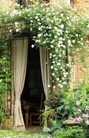 芬芳满墙 来自杉树的糖的图片分享 堆糖网 new dawn climbing rose climbing roses beautiful gardens