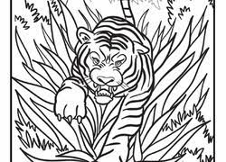Make a coloring book with baboon jungle for one click. Jungle Coloring Pages Printables Education Com