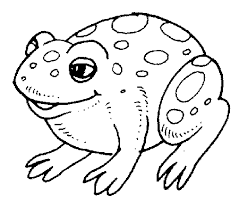 Fire Belly Toad Coloring Page Animals Town Animals Color Sheet Fire Belly Toad Printabl Animal Coloring Pages Frog Coloring Pages Coloring Pages For Kids