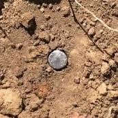 Top brands at everyday low prices. Survey Marks Business Queensland