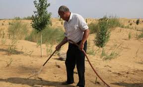 Znalezione obrazy dla zapytania china gobi desert green wall
