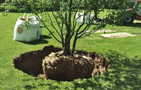 Bäume im garten sind willkommene schattenspender an heißen tagen, nistplätze für vögel oder attraktive bienenweide. Einen Baum Pflanzen So Geht S Richtig Erni Gartenbau Planung Ag