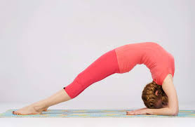 2 person yoga poses medium. 101 Popular Yoga Poses For Beginners Intermediate And Advanced Yogis
