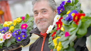 Gärtner atmen auf: So steht es um Primel und Co.