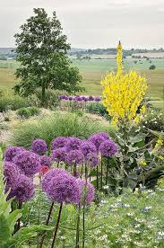 Water In English Gardens 10 Of 33 Dry Garden Architectural Plants Garden Inspiration