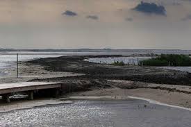 The project was proposed in 2012 by the vereniging natuurmonumenten. Marker Wadden Voor Vogelfotografen Natuurfoto S Van Andius Teijgeler