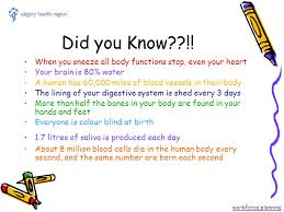 Zoe samuel 6 min quiz sewing is one of those skills that is deemed to be very. The Human Body Trivia Game Workforce Planning Ppt Video Online Download