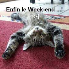 Humour drôle et animaux added a... - Humour drôle et animaux