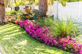 We did not find results for: What Is Tropical Landscaping