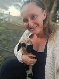 Where to find lamb and goat for calf club in July?