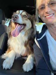 Profile for Happy Tails Pet Sitting