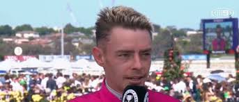 Melbourne Cup 2024: Robbie Dolan, Knights Choice, winning jockey interview,  results, finish