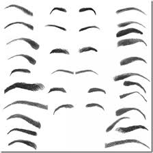28 Photoshop Eyebrow Brushes Free Download Formas De Cejas Imagenes De Ojos Cejas Dibujo