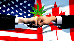 Breaking news, features and analysis plus audio and video content from north america. Usa Vs Canada Which Country Offers A Better Opportunity For Cannabis Investors The Cannabis Investor