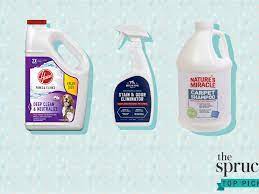 The 8 Best Carpet Cleaner Solutions For Pets In 2021