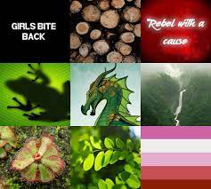 We did not find results for: 17 Sundew My Aggressive Child Ideas Wings Of Fire Dragons Wings Of Fire Dragon Wings