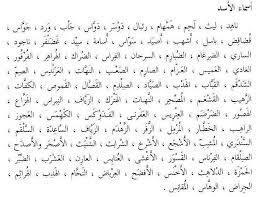 pin by aishaattehy on how you learn arabic learning arabic learning math