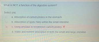 Solved What Is Not A Function Of The Digestive System Chegg Com