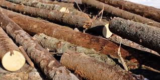 Check spelling or type a new query. Concepe Insulele Feroe LivadÄƒ Lemn Pret Metru Cub Lmvdesigns Com