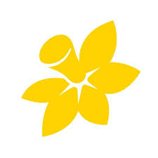 Plenty of parking is available for our clients and our coolangatta lawyers' office is located close to public transport. Cancer Council Nsw Ccnewsouthwales Twitter